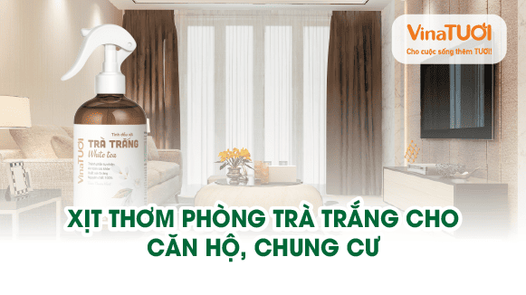 Xịt thơm phòng Trà Trắng cho căn hộ, chung cư