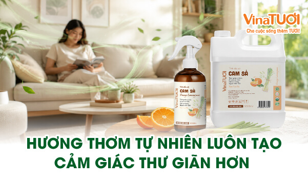 Vì sao mùi hương tự nhiên luôn tạo cảm giác thư giãn hơn trong không gian