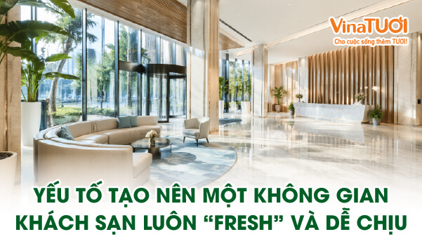 Không gian khách sạn fresh và dễ chịu với thiết kế hiện đại