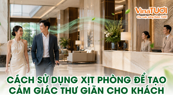 Cách sử dụng xịt phòng để tạo cảm giác thư giãn cho khách ngay khi bước vào